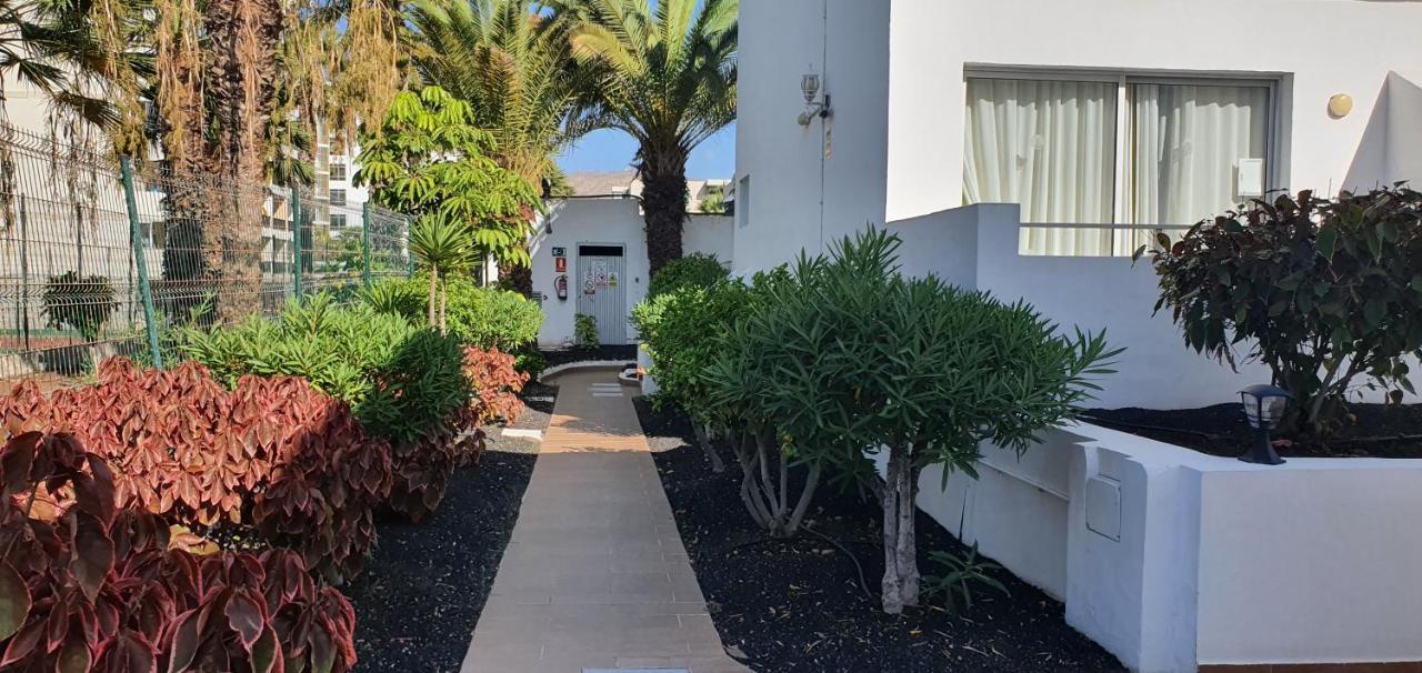 Adults Only Sunny Quiet Apartment In Center Of Las Americas Arona  Exteriör bild