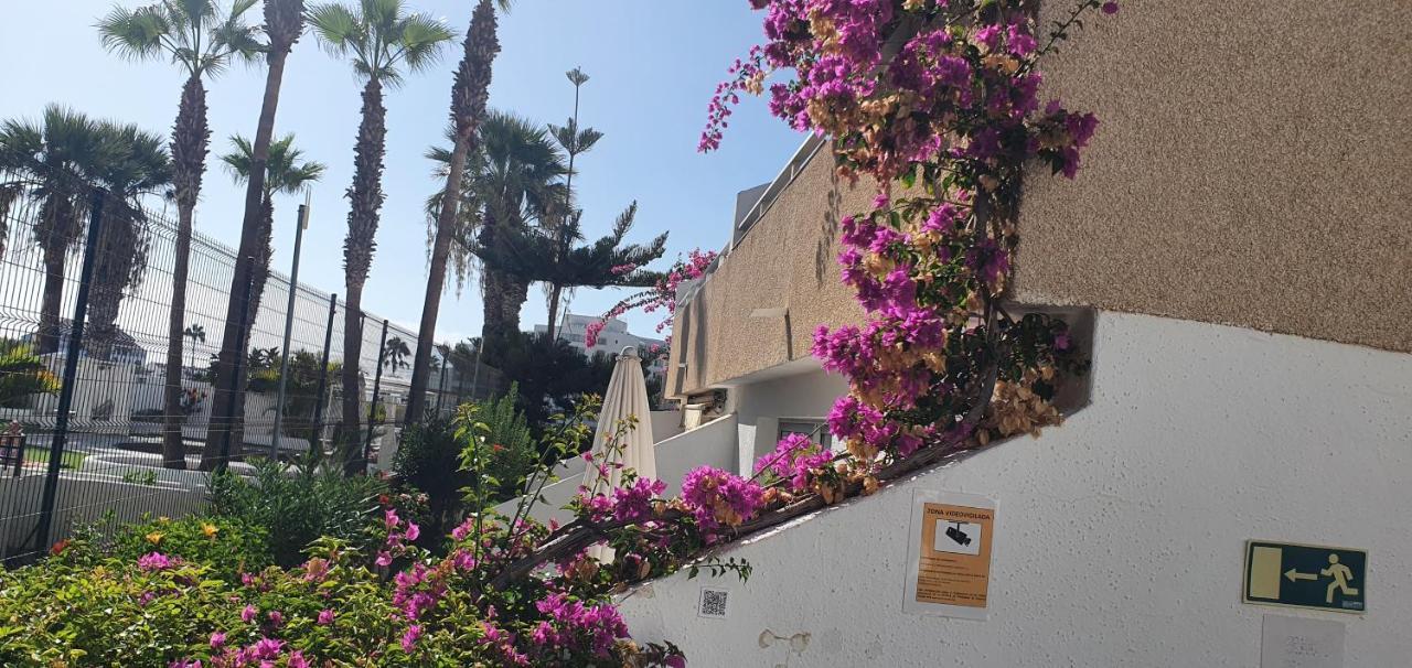 Adults Only Sunny Quiet Apartment In Center Of Las Americas Arona  Exteriör bild