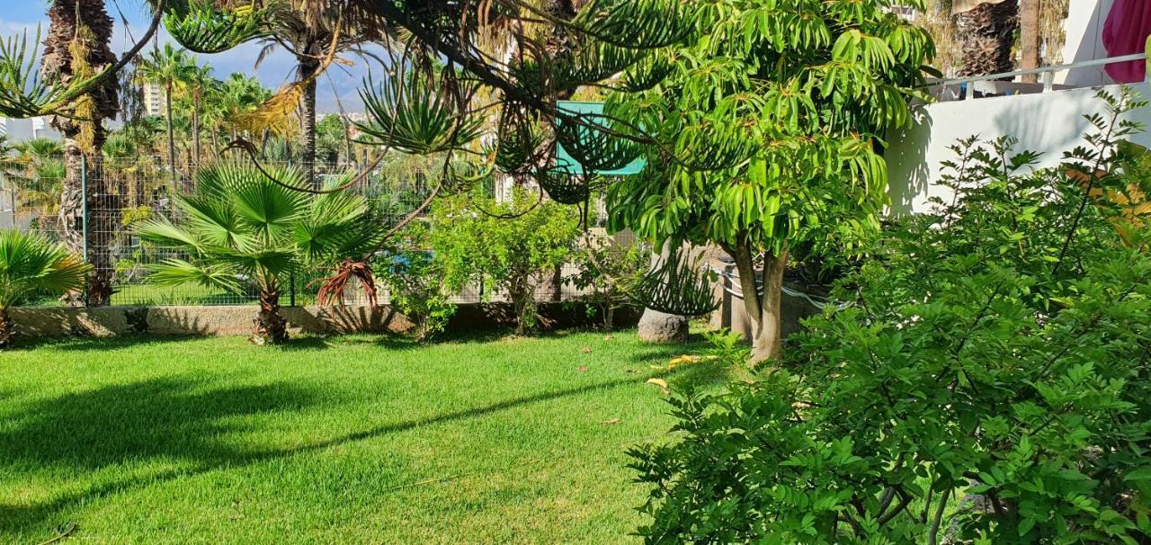 Adults Only Sunny Quiet Apartment In Center Of Las Americas Arona  Exteriör bild