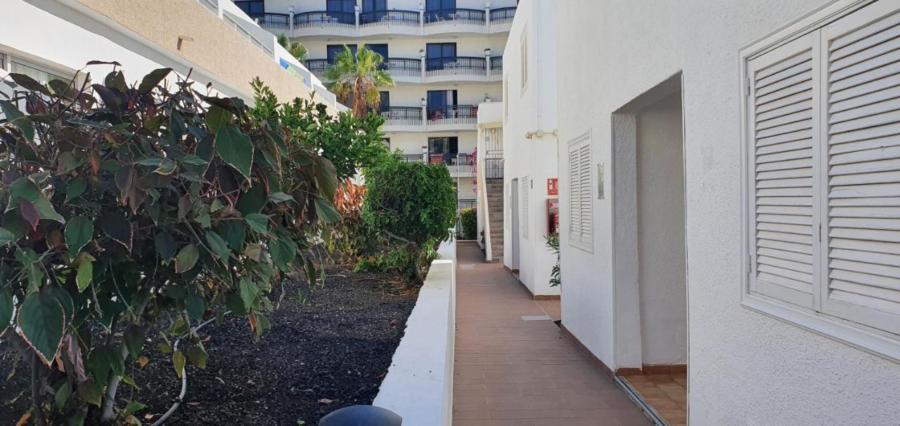 Adults Only Sunny Quiet Apartment In Center Of Las Americas Arona  Exteriör bild