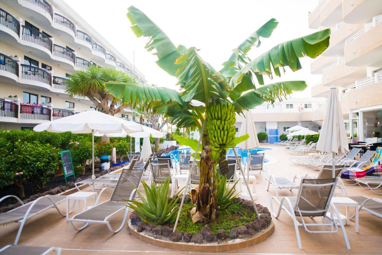 Adults Only Sunny Quiet Apartment In Center Of Las Americas Arona  Exteriör bild